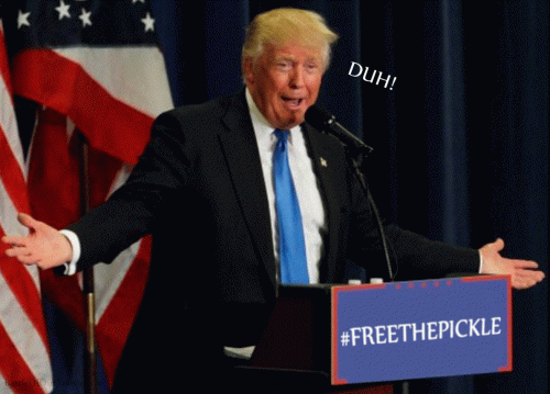 "Here's the story. It's a no-brainer. #FreeThePickle. It's true, believe me. I mean, duh! It's 𝐘𝐔𝐆𝐄. Gotta free it."